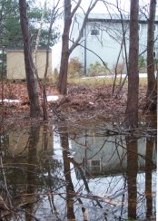 pool in the woods in the foreground, with lawn building and house in the background