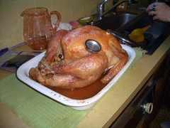the whole cooked turkey