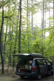 Looking into open liftgate; trees