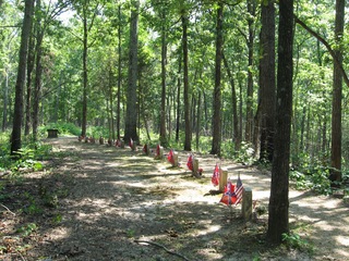 graves of confederate prisoners