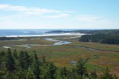 estuary/salt marsh viewed from a hill, with the ocean beach in the distance