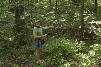 Kathy pointing at sunken trace